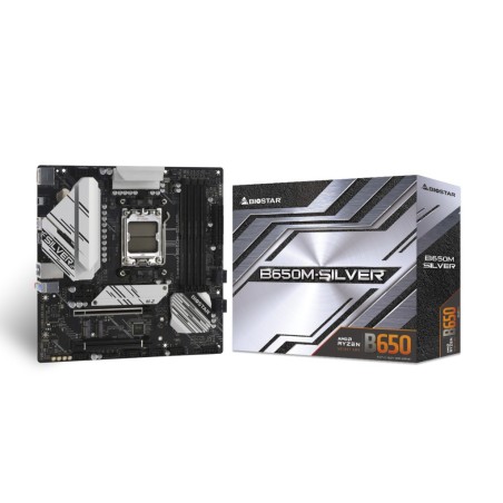 Biostar B650M-Silver (AM5) (D)